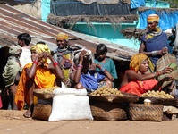 Bondastam markt Desia, India Djoser