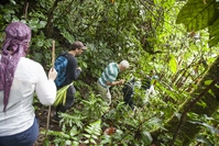 Group jungle walk with guide, jungle Ecuador