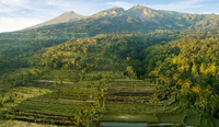 Rinjani vulkaan rijstvelden Lombok Indonesië