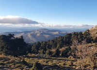 Sierra de las Nieves